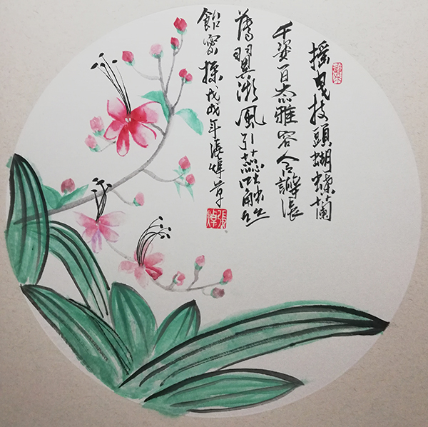 张焯 《佚名 〈 蝴蝶兰〉 》
